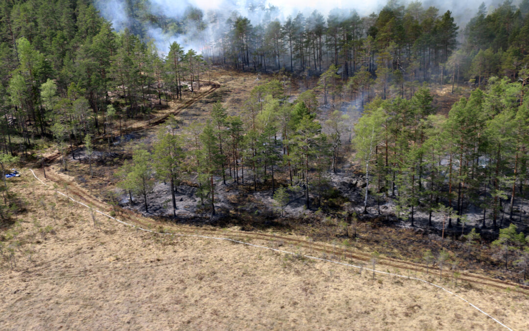 Miško gaisrų problematiką padeda spręsti kontroliuojamas deginimas