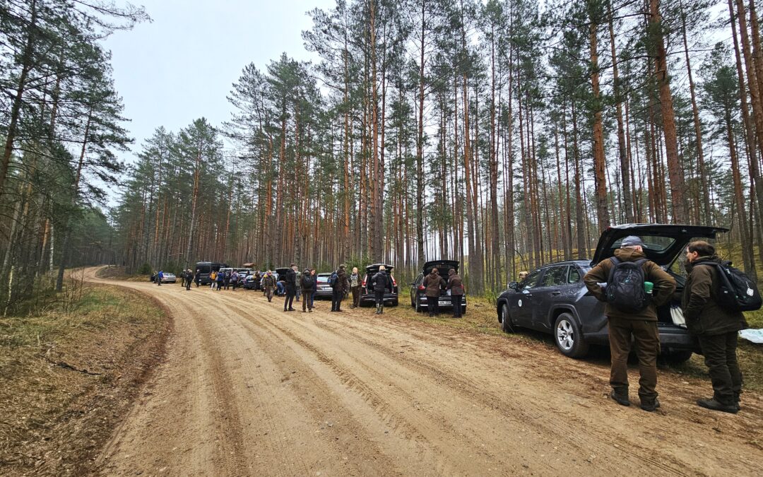 Tęsiami žemyninių Dzūkijos kopų atvėrimo darbai