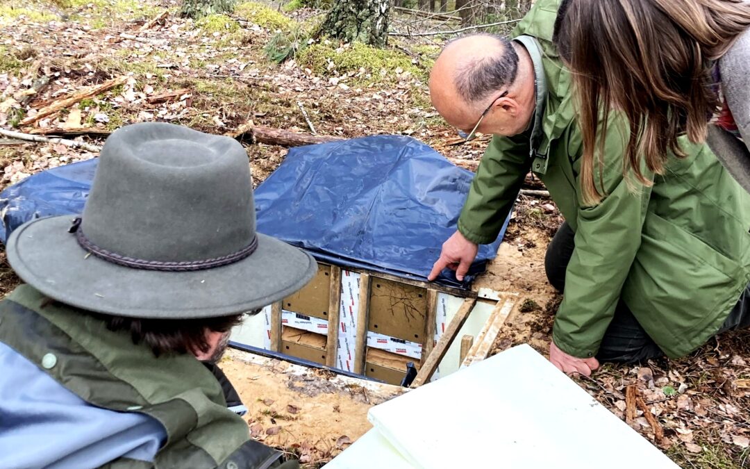 Gamtotvarkos veiklos Dzūkijos miškuose sulaukė užsienio ekspertų dėmesio