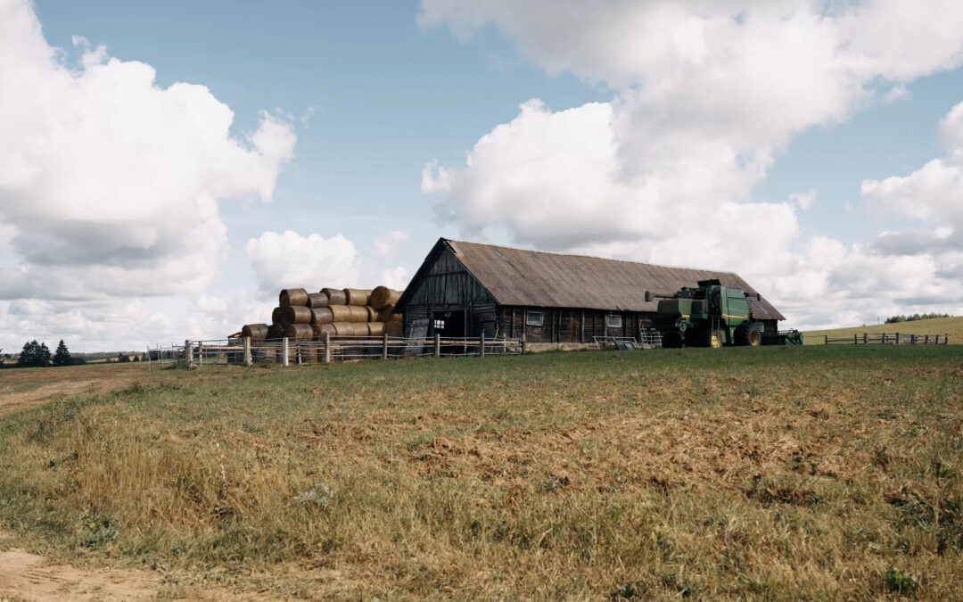 Martinėlių ūkis: prioritetas – dirvožemio sveikatingumas