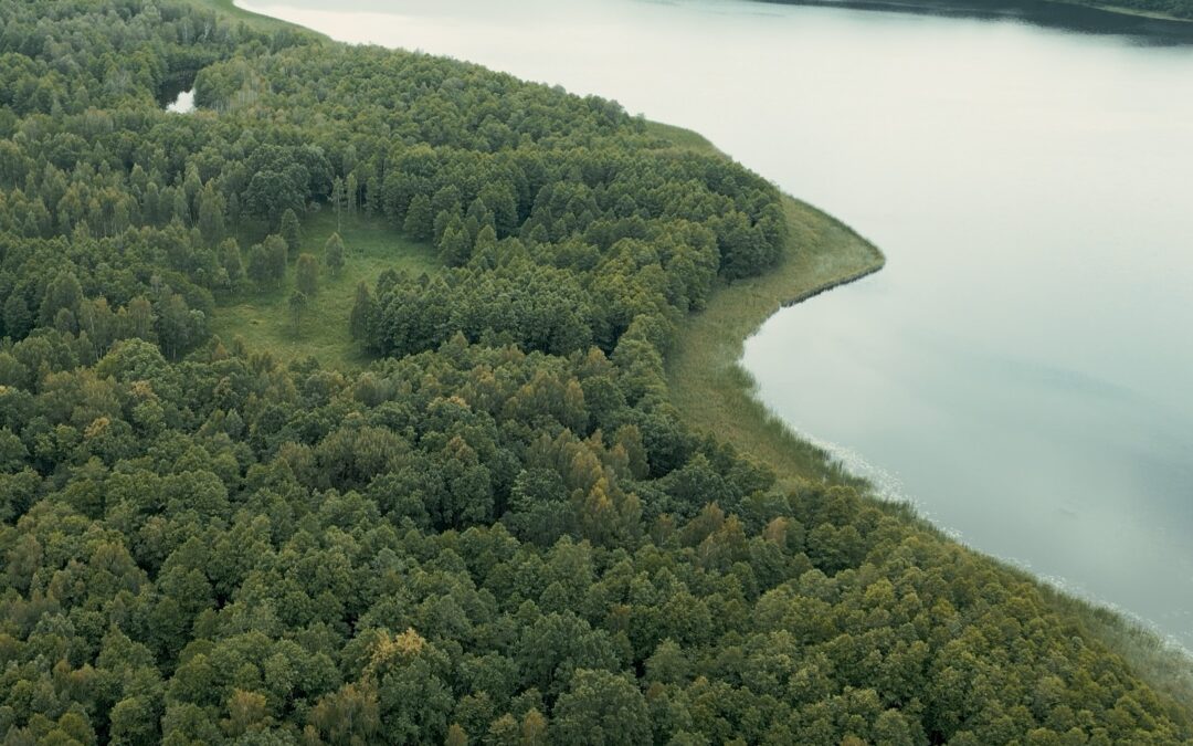 Ginučių ąžuolyne – Lietuvos retųjų augalų lobynas