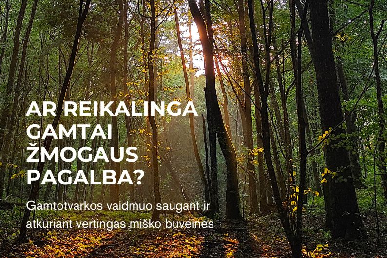 Ar reikalinga gamtai žmogaus pagalba? Parengtos gairės politikos formuotojams