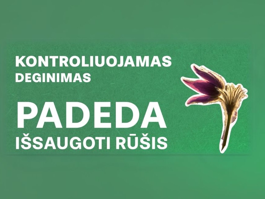 Kontroliuojamas deginimas: kodėl ugnis yra svarbus ekologinis veiksnys gamtoje