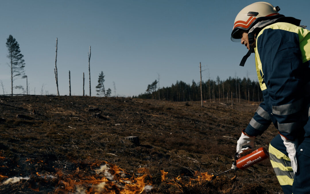 Dzūkijos nacionaliniame parke pradėta įgyvendinti rūšių išsaugojimui svarbi gamtotvarkos priemonė