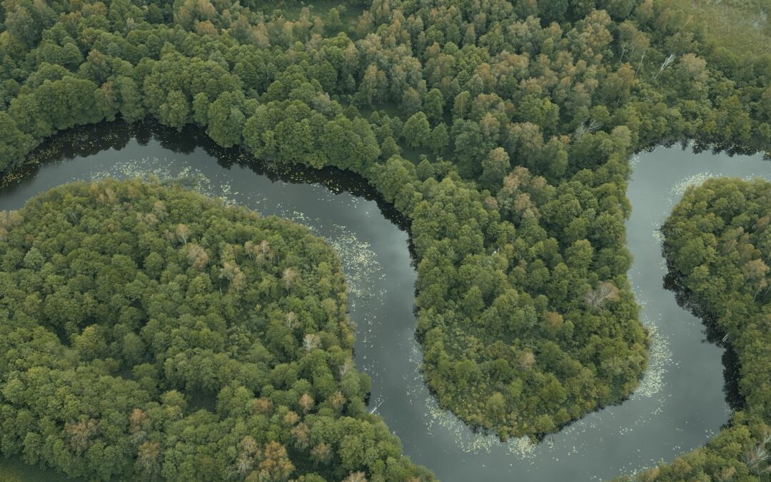 Gamtosaugos ekspertas: nesaugodami biologinės įvairovės, kuriame problemas
