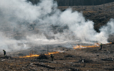 Prescribed burning successfully completed in continental dunes of Dzūkija