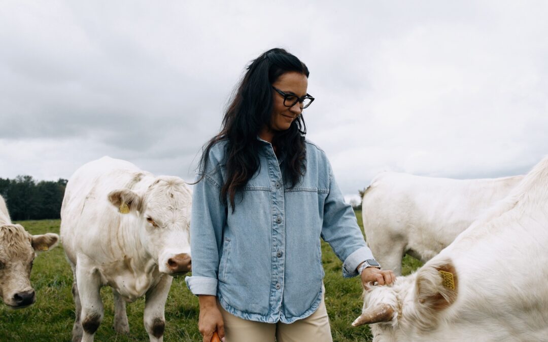 Mišeikių šarolė ūkis: Nemuno užliejamos pievos nesustabdo siekio ūkininkauti atsakingai