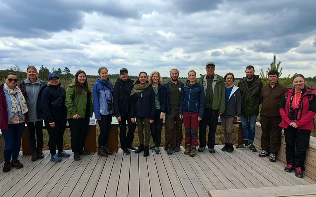 Sharing good experiences with the Finns